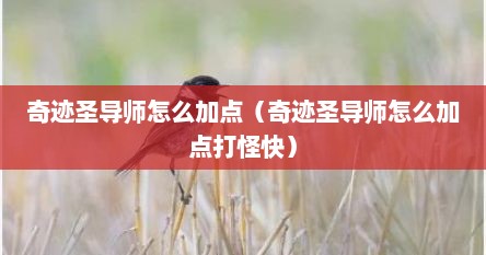 奇迹圣导师怎么加点（奇迹圣导师怎么加点打怪快）