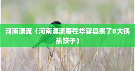 河南漂流（河南漂流哥在华容县煮了8大锅热饺子）