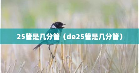 25管是几分管（de25管是几分管）