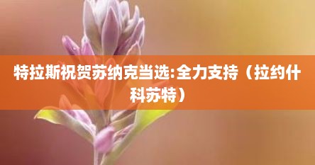 特拉斯祝贺苏纳克当选:全力支持（拉约什科苏特）