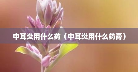 中耳炎用什么药（中耳炎用什么药膏）