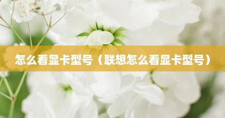 怎么看显卡型号（联想怎么看显卡型号）