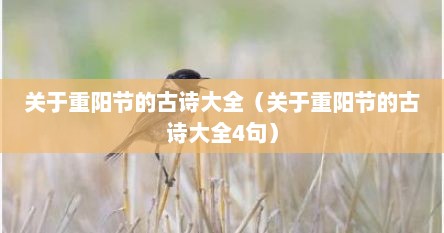 关于重阳节的古诗大全（关于重阳节的古诗大全4句）