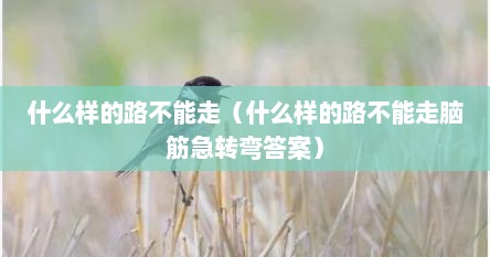 什么样的路不能走（什么样的路不能走脑筋急转弯答案）