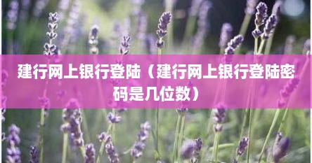 建行网上银行登陆（建行网上银行登陆密码是几位数）