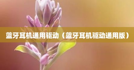 蓝牙耳机通用驱动（蓝牙耳机驱动通用版）