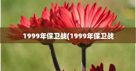 1999年保卫战(1999年保卫战