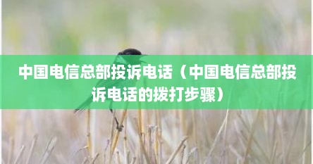 中国电信总部投诉电话（中国电信总部投诉电话的拨打步骤）