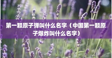 第一颗原子弹叫什么名字（中国第一颗原子爆炸叫什么名字）