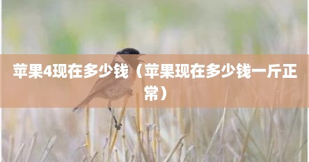 苹果4现在多少钱（苹果现在多少钱一斤正常）