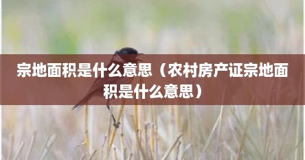 宗地面积是什么意思（农村房产证宗地面积是什么意思）