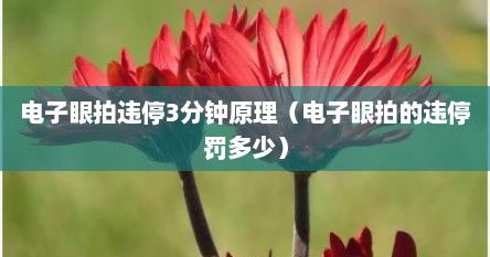 电子眼拍违停3分钟原理（电子眼拍的违停罚多少）