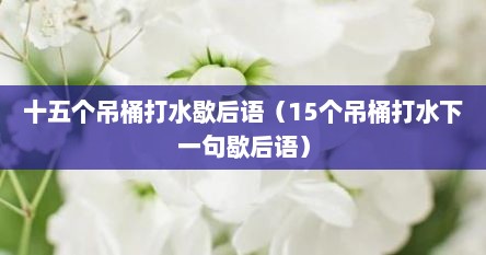 十五个吊桶打水歇后语（15个吊桶打水下一句歇后语）