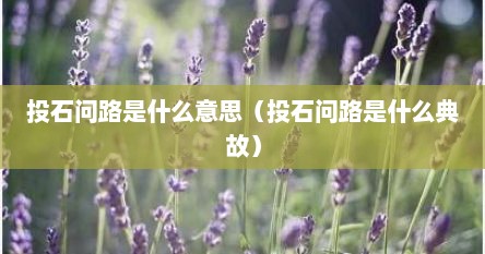 投石问路是什么意思（投石问路是什么典故）