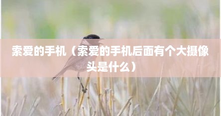 索爱的手机（索爱的手机后面有个大摄像头是什么）