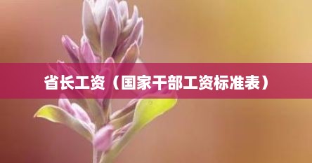 省长工资（国家干部工资标准表）