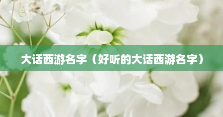 大话西游名字（好听的大话西游名字）