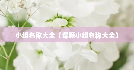 小组名称大全（课题小组名称大全）