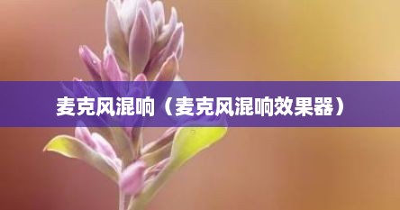 麦克风混响（麦克风混响效果器）