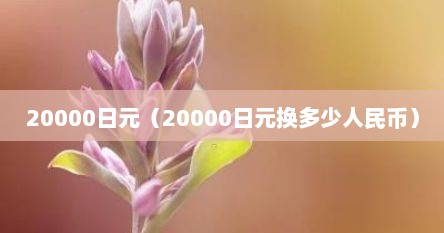 20000日元（20000日元换多少人民币）