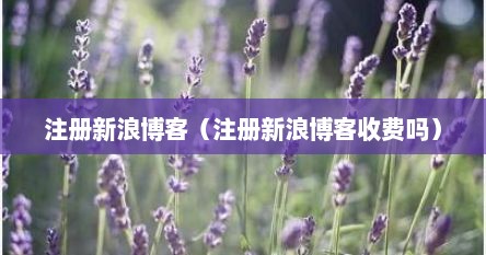 注册新浪博客（注册新浪博客收费吗）