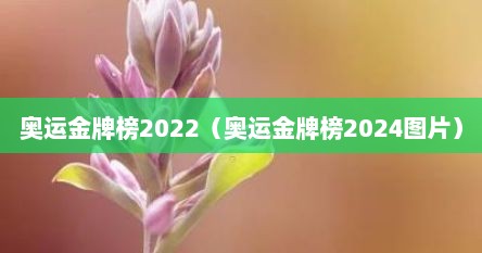 奥运金牌榜2022（奥运金牌榜2024图片）