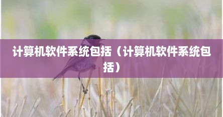 计算机软件系统包括（计算机软件系统包括）