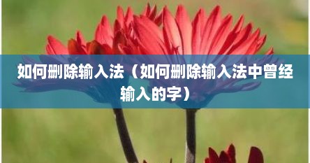 如何删除输入法（如何删除输入法中曾经输入的字）