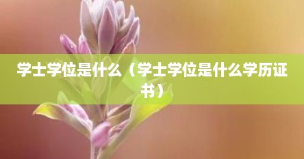 学士学位是什么（学士学位是什么学历证书）