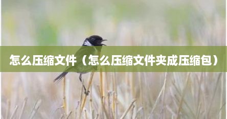 怎么压缩文件（怎么压缩文件夹成压缩包）