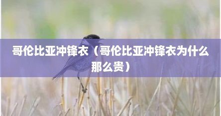 哥伦比亚冲锋衣（哥伦比亚冲锋衣为什么那么贵）