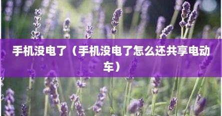 手机没电了（手机没电了怎么还共享电动车）