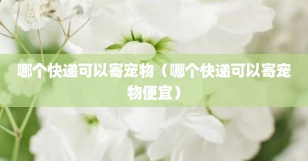 哪个快递可以寄宠物（哪个快递可以寄宠物便宜）