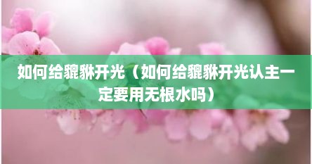 如何给貔貅开光（如何给貔貅开光认主一定要用无根水吗）