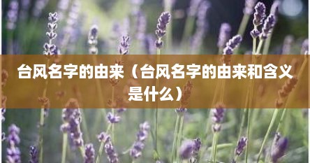 台风名字的由来（台风名字的由来和含义是什么）