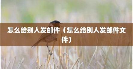 怎么给别人发邮件（怎么给别人发邮件文件）