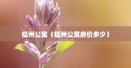 福州公寓（福州公寓房价多少）