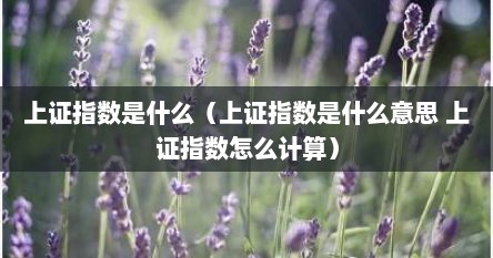 上证指数是什么（上证指数是什么意思 上证指数怎么计算）