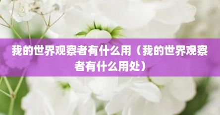 我的世界观察者有什么用（我的世界观察者有什么用处）