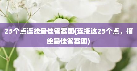 25个点连线最佳答案图(连接这25个点，描绘最佳答案图)