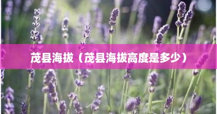 茂县海拔（茂县海拔高度是多少）