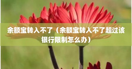 余额宝转入不了（余额宝转入不了超过该银行限制怎么办）