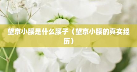 望京小腰是什么腰子（望京小腰的真实经历）