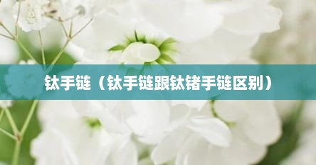 钛手链（钛手链跟钛锗手链区别）