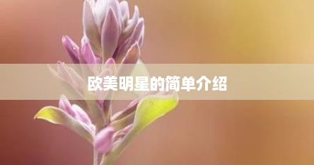 欧美明星的简单介绍