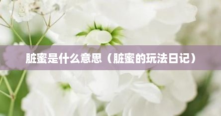 脏蜜是什么意思（脏蜜的玩法日记）