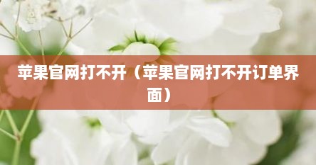 苹果官网打不开（苹果官网打不开订单界面）