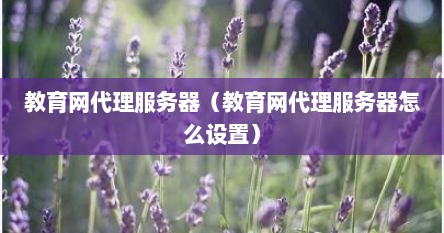 教育网代理服务器（教育网代理服务器怎么设置）