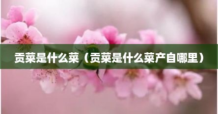 贡菜是什么菜（贡菜是什么菜产自哪里）