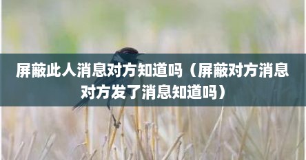 屏蔽此人消息对方知道吗（屏蔽对方消息对方发了消息知道吗）